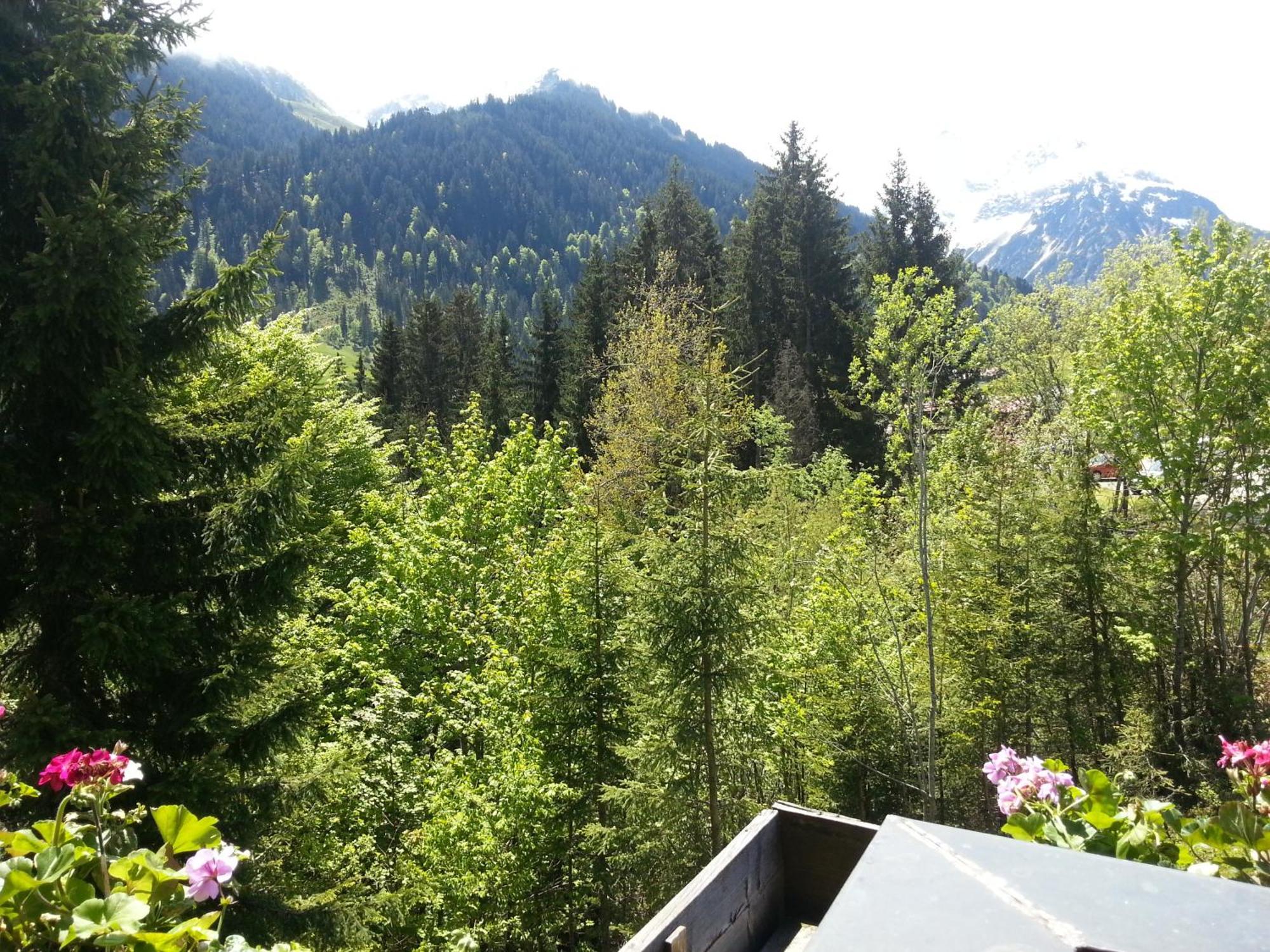 Haus Widdersteinblick Guest house 3*
