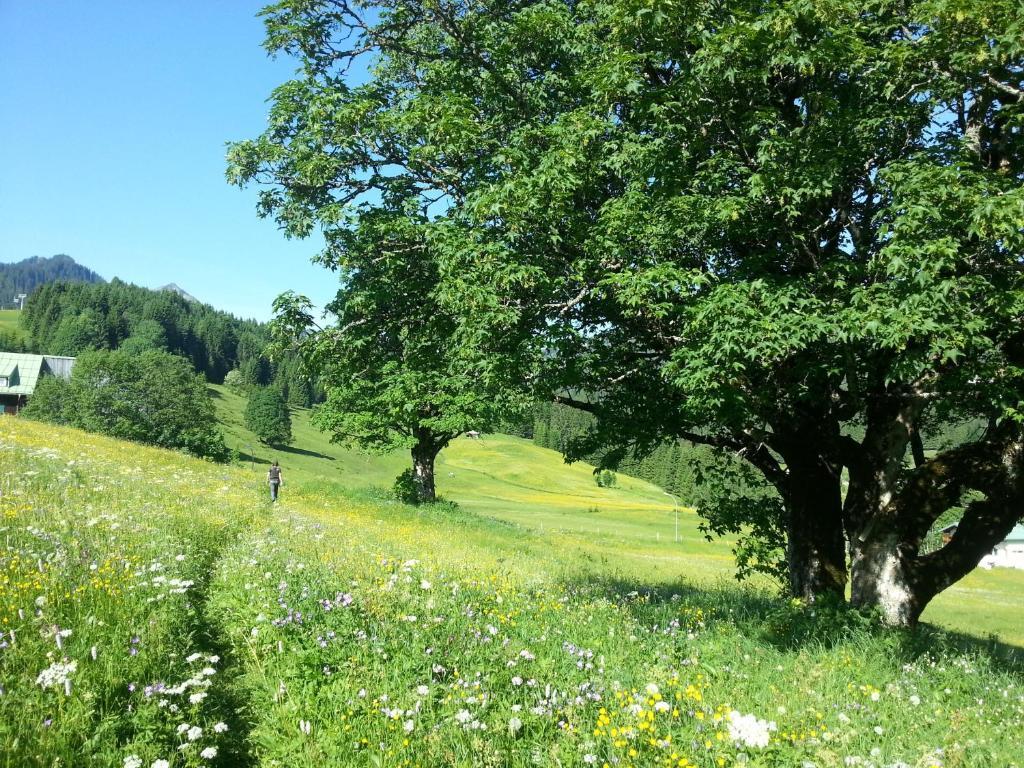 Haus Widdersteinblick 3*